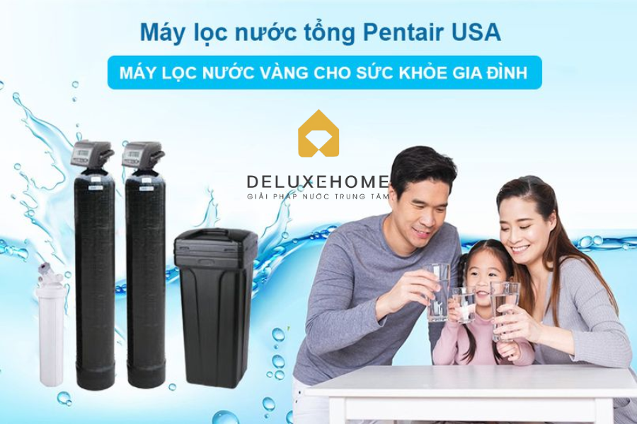 This image has an empty alt attribute; its file name is loc-tong-pentair-tai-deluxe-home1-1.png